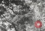 Image of Japanese officials review map Philippines, 1942, second 24 stock footage video 65675062386