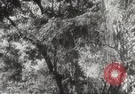 Image of Japanese officials review map Philippines, 1942, second 25 stock footage video 65675062386