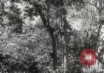 Image of Japanese officials review map Philippines, 1942, second 27 stock footage video 65675062386