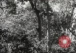 Image of Japanese officials review map Philippines, 1942, second 28 stock footage video 65675062386