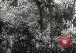 Image of Japanese officials review map Philippines, 1942, second 29 stock footage video 65675062386