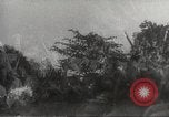 Image of Japanese infantry prepare for battle Bataan Luzon Philippines, 1942, second 29 stock footage video 65675062389