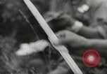 Image of Japanese infantry prepare for battle Bataan Luzon Philippines, 1942, second 48 stock footage video 65675062389