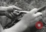 Image of Japanese infantry prepare for battle Bataan Luzon Philippines, 1942, second 54 stock footage video 65675062389