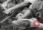 Image of Japanese infantry prepare for battle Bataan Luzon Philippines, 1942, second 59 stock footage video 65675062389