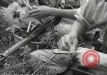 Image of Japanese infantry prepare for battle Bataan Luzon Philippines, 1942, second 61 stock footage video 65675062389