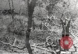 Image of Manila Bay during Japanese occupation Corregidor Island Philippines, 1942, second 47 stock footage video 65675062390