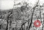 Image of Manila Bay during Japanese occupation Corregidor Island Philippines, 1942, second 52 stock footage video 65675062390