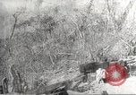 Image of Manila Bay during Japanese occupation Corregidor Island Philippines, 1942, second 53 stock footage video 65675062390