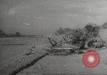 Image of US prisoners on Corregidor Philippines, 1942, second 40 stock footage video 65675062395