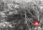 Image of American prisoners of war Philippines, 1942, second 3 stock footage video 65675062397