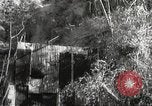Image of American prisoners of war Philippines, 1942, second 5 stock footage video 65675062397