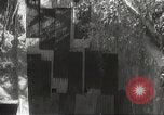 Image of American prisoners of war Philippines, 1942, second 7 stock footage video 65675062397