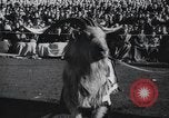 Image of Army Navy football game United States USA, 1949, second 16 stock footage video 65675062408