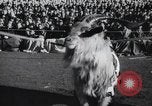 Image of Army Navy football game United States USA, 1949, second 18 stock footage video 65675062408