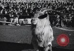 Image of Army Navy football game United States USA, 1949, second 19 stock footage video 65675062408