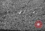 Image of Army Navy football game United States USA, 1949, second 6 stock footage video 65675062411