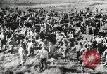Image of African American soldiers world war 2 United States USA, 1945, second 50 stock footage video 65675062417