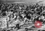 Image of African American soldiers world war 2 United States USA, 1945, second 51 stock footage video 65675062417