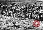 Image of African American soldiers world war 2 United States USA, 1945, second 52 stock footage video 65675062417