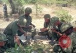 Immagine di 101ª Divisione aviotrasportata Il Vietnam, 1965, secondo 45 filmato di repertorio 65675062446