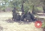 Immagine di 101ª Divisione aviotrasportata Il Vietnam, 1965, secondo 13 filmato di repertorio 65675062447