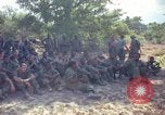 Immagine di 101ª Divisione aviotrasportata Il Vietnam, 1965, secondo 37 filmato di repertorio 65675062447