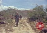 Standbild 101st Airborne Division Vietnam, 1965, aus Sekunde 44 historischem Filmmaterial Videoclip 65675062449