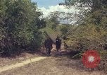 Standbild 101st Airborne Division Vietnam, 1965, aus Sekunde 54 historischem Filmmaterial Videoclip 65675062449