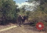 Standbild 101st Airborne Division Vietnam, 1965, aus Sekunde 55 historischem Filmmaterial Videoclip 65675062449