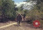 Standbild 101st Airborne Division Vietnam, 1965, aus Sekunde 56 historischem Filmmaterial Videoclip 65675062449