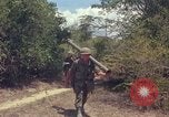 Standbild 101st Airborne Division Vietnam, 1965, aus Sekunde 57 historischem Filmmaterial Videoclip 65675062449