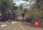 Standbild 101st Airborne Division Vietnam, 1965, aus Sekunde 60 historischem Filmmaterial Videoclip 65675062449