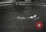 Immagine di 'Accademia Militare degli Stati Uniti West Point New York USA, 1931, secondo 56 filmato di repertorio 65675062457