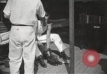 Immagine di 'Accademia Militare degli Stati Uniti West Point New York USA, 1931, secondo 41 filmato di repertorio 65675062460