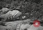 Immagine di 'Accademia Militare degli Stati Uniti West Point New York USA, 1931, secondo 28 filmato di repertorio 65675062461