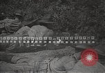 Immagine di 'Accademia Militare degli Stati Uniti West Point New York USA, 1931, secondo 32 filmato di repertorio 65675062461