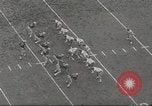 Immagine di Partita di calcio Seattle Washington USA, 1963, secondo 19 filmato di repertorio 65675062495