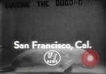 Immagine di Dugongo San Francisco California USA, 1955, secondo 3 filmato di repertorio 65675062511