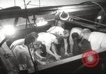 Immagine di Dugongo San Francisco California USA, 1955, secondo 11 filmato di repertorio 65675062511