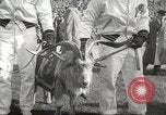 Image of football match Philadelphia Pennsylvania USA, 1955, second 14 stock footage video 65675062513
