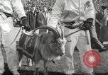 Image of football match Philadelphia Pennsylvania USA, 1955, second 15 stock footage video 65675062513