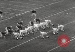 Image of football match Philadelphia Pennsylvania USA, 1955, second 52 stock footage video 65675062513
