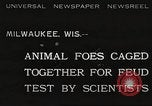 Image of animal foes Milwaukee Wisconsin USA, 1932, second 1 stock footage video 65675062516