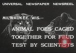 Image of animal foes Milwaukee Wisconsin USA, 1932, second 5 stock footage video 65675062516