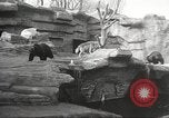 Image of animal foes Milwaukee Wisconsin USA, 1932, second 9 stock footage video 65675062516