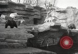Image of animal foes Milwaukee Wisconsin USA, 1932, second 10 stock footage video 65675062516