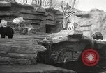 Image of animal foes Milwaukee Wisconsin USA, 1932, second 11 stock footage video 65675062516