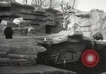 Image of animal foes Milwaukee Wisconsin USA, 1932, second 12 stock footage video 65675062516