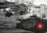 Image of animal foes Milwaukee Wisconsin USA, 1932, second 13 stock footage video 65675062516